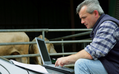 Feed management technology: Ag-tech’s missed opportunity?