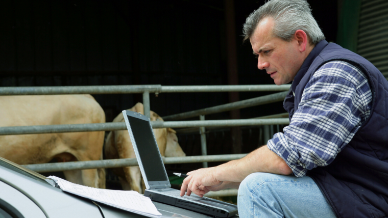 Man on laptop next to cattle pin