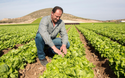 Aldyen Donnelly – Carbon Economics: Incentivizing sustainable farming