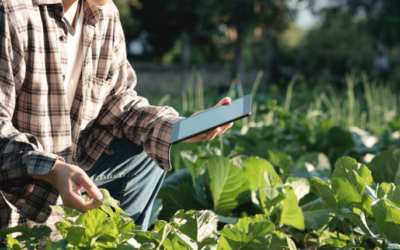 Rob Saik – How We Feed the Future: Technology for smarter agriculture