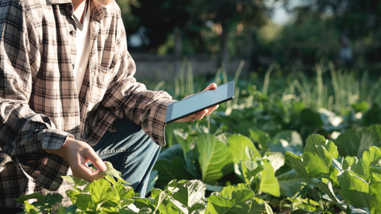 man with ipad in crop field