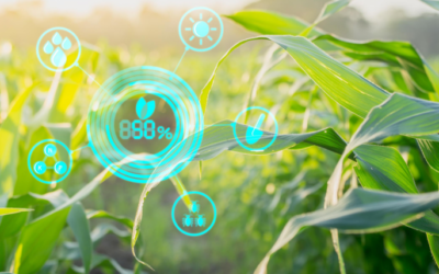 How ag-tech can improve sustainable agriculture